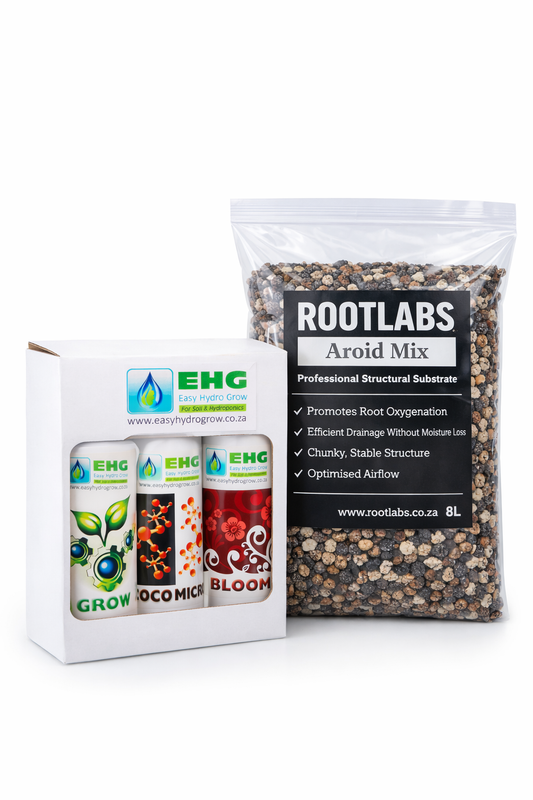 Aroid Starter Bundle