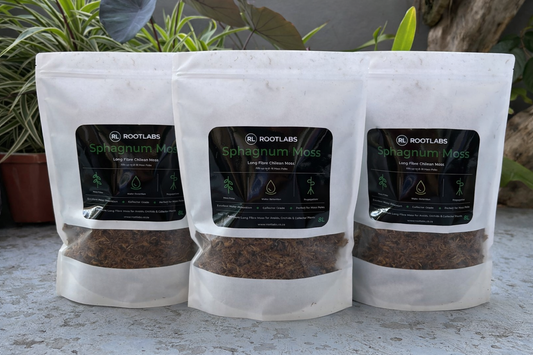 ROOTLABS Sphagnum Moss Bundle (3 x 8L) – Ready to Use